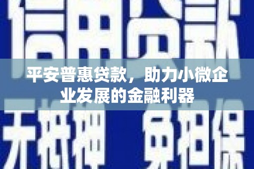 颍泉平安普惠贷款，助力小微企业发展的金融利器
