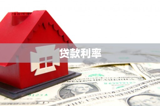 新园贷款利率
