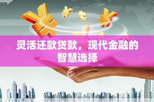清丰灵活还款贷款，现代金融的智慧选择