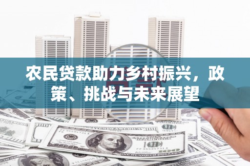 大余农民贷款助力乡村振兴，政策、挑战与未来展望