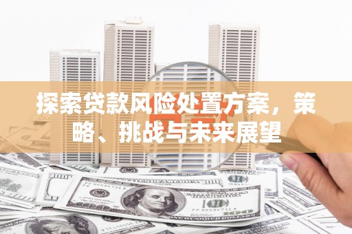 关岭探索贷款风险处置方案，策略、挑战与未来展望