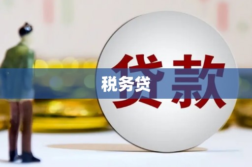 洛川税务贷
