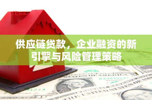 普湾新区供应链贷款，企业融资的新引擎与风险管理策略