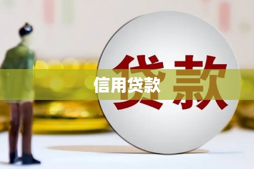 托里信用贷款