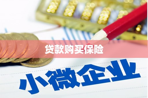 头份贷款购买保险