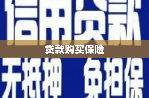 大洼贷款购买保险