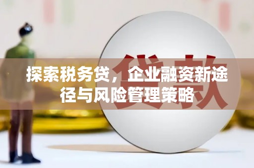 永善探索税务贷，企业融资新途径与风险管理策略