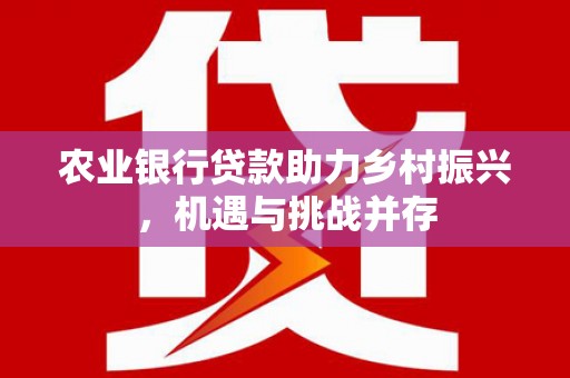 涟水农业银行贷款助力乡村振兴，机遇与挑战并存