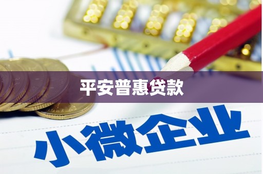 坪山新区平安普惠贷款