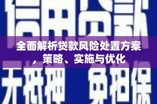 颍泉全面解析贷款风险处置方案，策略、实施与优化
