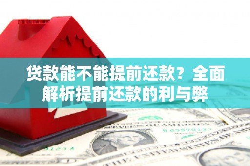 嵊泗贷款能不能提前还款？全面解析提前还款的利与弊