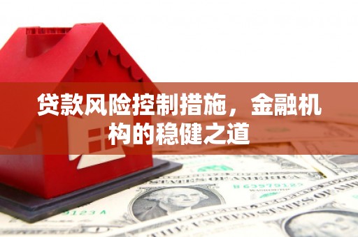 国姓贷款风险控制措施，金融机构的稳健之道