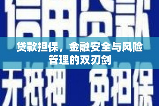 长洲贷款担保，金融安全与风险管理的双刃剑