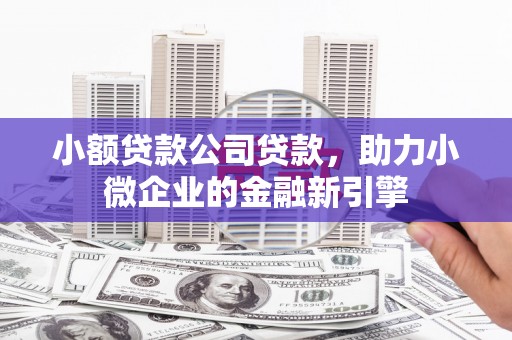 清浦小额贷款公司贷款，助力小微企业的金融新引擎