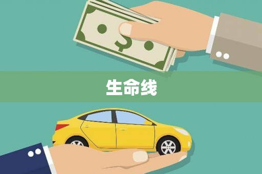 新野生命线