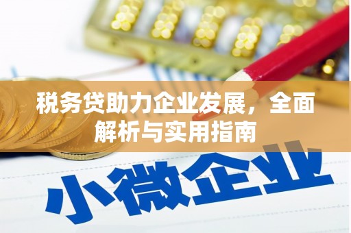 丰台税务贷助力企业发展，全面解析与实用指南