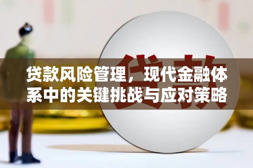 七美贷款风险管理，现代金融体系中的关键挑战与应对策略