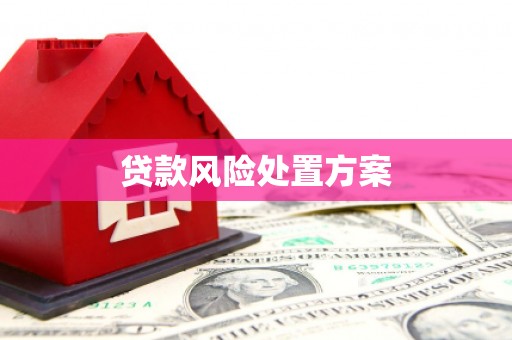 微山贷款风险处置方案