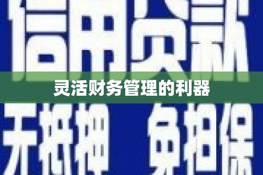 林园灵活财务管理的利器