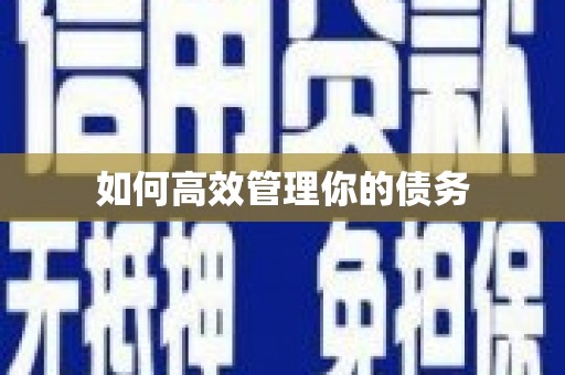 吉利如何高效管理你的债务