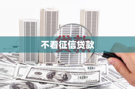 明光不看征信贷款