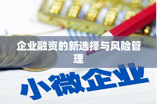 麦寮企业融资的新选择与风险管理