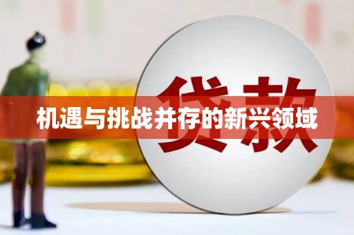 黔西机遇与挑战并存的新兴领域