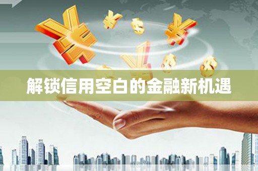 会同解锁信用空白的金融新机遇