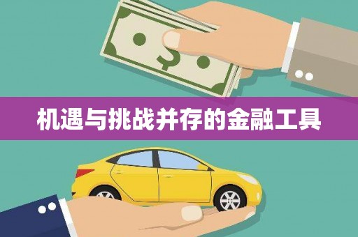 武安机遇与挑战并存的金融工具