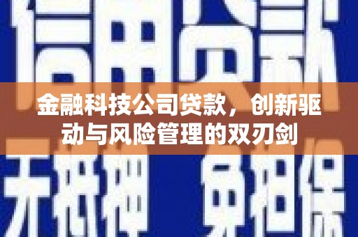 潮安金融科技公司贷款，创新驱动与风险管理的双刃剑
